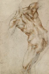 Naakt mannelijk torso, begin 16e eeuw