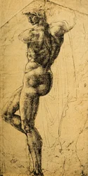 Naaktstudie; tekening van Michelangelo. Musée du Louvre, Parijs