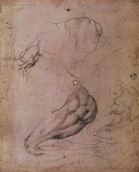 Sixtijnse Kapel Plafond (1508-12): schetsen van de figuur van Eva uit de scène van De Oerzonde