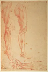 Studies van benen en armen