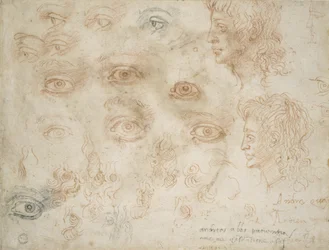 Studies van twee hoofden, c.1525