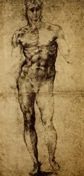 Studie voor een mannelijk naakt, Michelangelo Buonarroti (1475-1564), tekening, Parijs, Louvre Museum