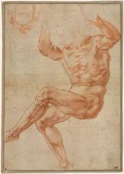 Studie voor de Naakte Jongeling boven de Profeet Daniël (recto)