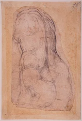 Studie van een oude Venus
