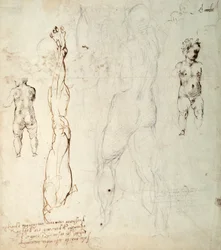 Studie van het Christuskind en een anatomische tekening met aantekeningen (zwarte krijt en bruine inkt op papier) (verso)