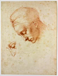 Studie naar het hoofd van Leda, ca 1530