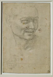 Hoofd en rechterhand van de ignudo boven en links van Jesaja, bij het gewelf van de Capella Sistina ...