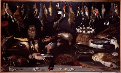 Stilleven met vogels