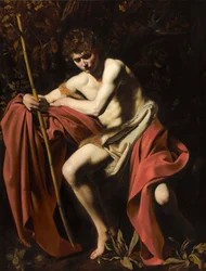 Sint Johannes de Doper in de Wildernis