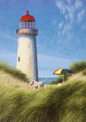 Dag in de duinen