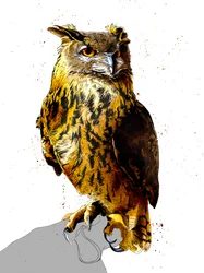 De Oehoe op Wit, 2019