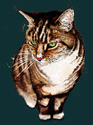 De Cyperse Kat op Diep Cyaan, 2020