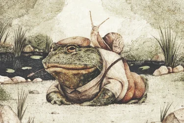Een kikker in een chique outfit