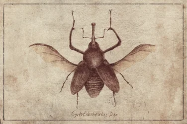 Vintage-stijl en sepia-tinten