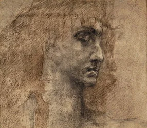 Hoofd van een Engel, 1887