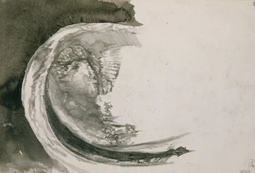 Parelmossel, 1904