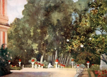 De magnoliaboom, Aranjuez
