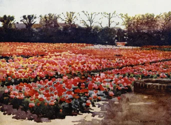 "Ze springen, ze knoppen, ze bloeien fris en mooi, en versieren de wereld met hun rijke pompeuze shows"