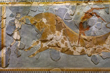 Detail van het fresco met stierspringen, gevonden in Knossos