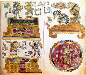 Mixteekse beschaving: Mixteekse Codex met illustraties van dagelijkse activiteiten
