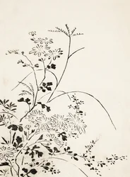 Herfstbloemen en -grassen (1762)