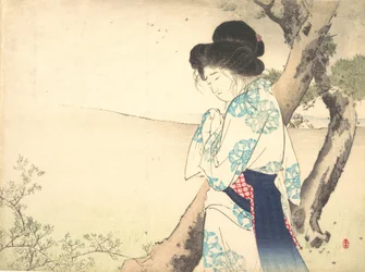 De Gekke Vrouw van Yawata Yawata no kyojo van kuchie frontispice van een roman, ca. 1905