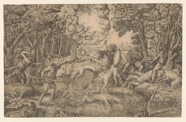 Jacht op het Calydonische everzwijn