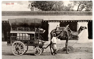 Kameel Dak, ca. 1911-12 (sepia foto)