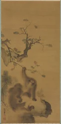 Apen op een rotsrichel, 1615-1868