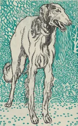 Windhond