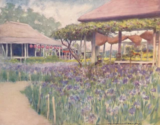 Een iristuin, 1903