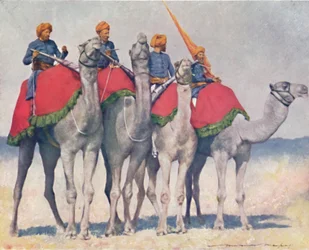 Kameelrijders uit Alwar