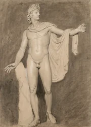 Gipsafgietsel van de Apollo Belvedere