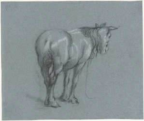 Studie van een paard van achteren, naar rechts (series title)
