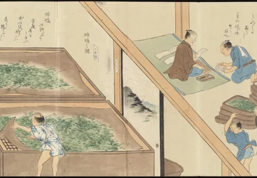 Illustraties van Uji theeproductie