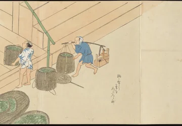 Illustraties van Uji theeproductie