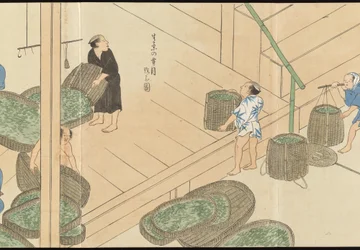 Illustraties van Uji theeproductie