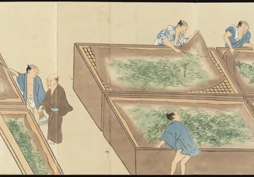 Illustraties van Uji theeproductie