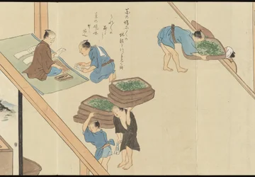 Illustraties van Uji theeproductie