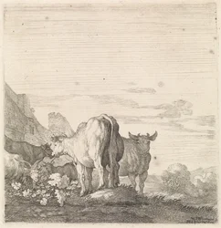 Koeien en geiten in een landschap met huizen