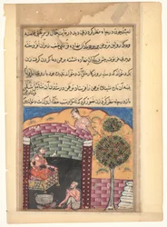 Pagina uit Verhalen van een Papegaai (Tuti-nama): Zevende nacht: De Brahmaan gokker ziet de dochter van de koning van de djinns in een put samen met een oude man en een ketel met kokende olie, ca.1560