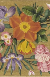 Pagina uit het St. Petersburg Album, India, 1727 (kleur op goudgrond)