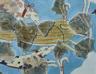 Fresco uit Tirinto-paleis (Griekenland). Detail: groep honden die een wild zwijn aanvallen. Myceense beschaving