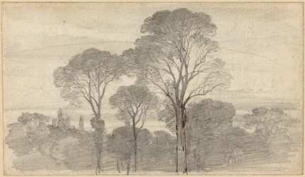 Een avondlandschap met hoge bomen
