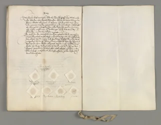 Certificaat van het verdrag in Den Haag gesloten tussen de Staten-Generaal en de Koning van Zweden om het tweede artikel van het verdrag van 5 april te verduidelijken