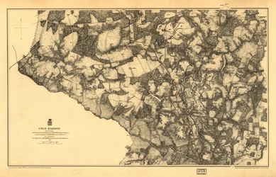 Kaart van de Chickahominy River, gedrukt op een gele achtergrond met de rivier in groen. Toont wegen, Virginia Central R. R., huizen, hekken, namen van bewoners, vegetatie, drainage en reliëf door ha