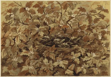De merel thuis