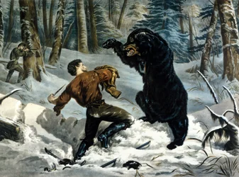 Het leven van trappers (professionele jagers) in Canada: een jager wordt aangevallen door een grizzlybeer. Illustratie door Yves en Currier.