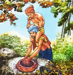 Sinbad de zeeman