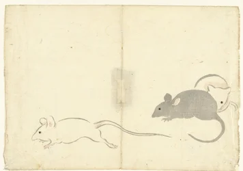Drie ratten